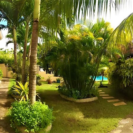 Alona42 Resort Đảo Đảo Panglao Ngoại thất bức ảnh
